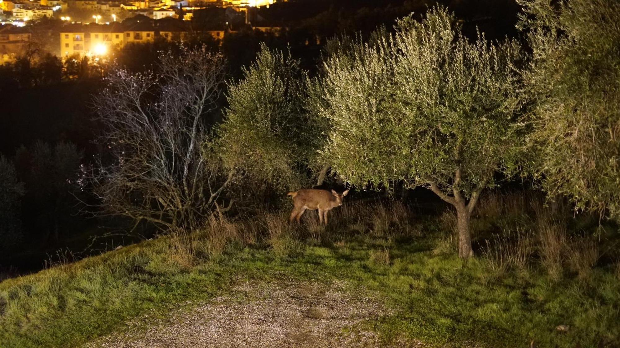 Villa Salviati Prato  Eksteriør bilde