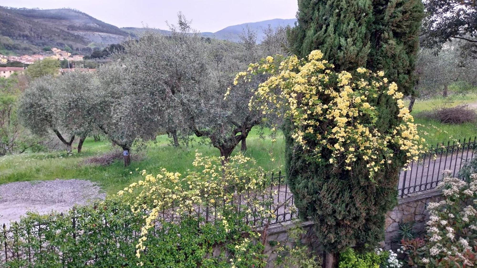 Villa Salviati Prato  Eksteriør bilde